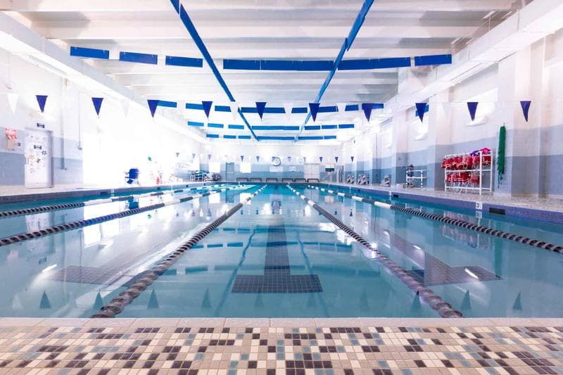 Indoor swimming pool with lane markers