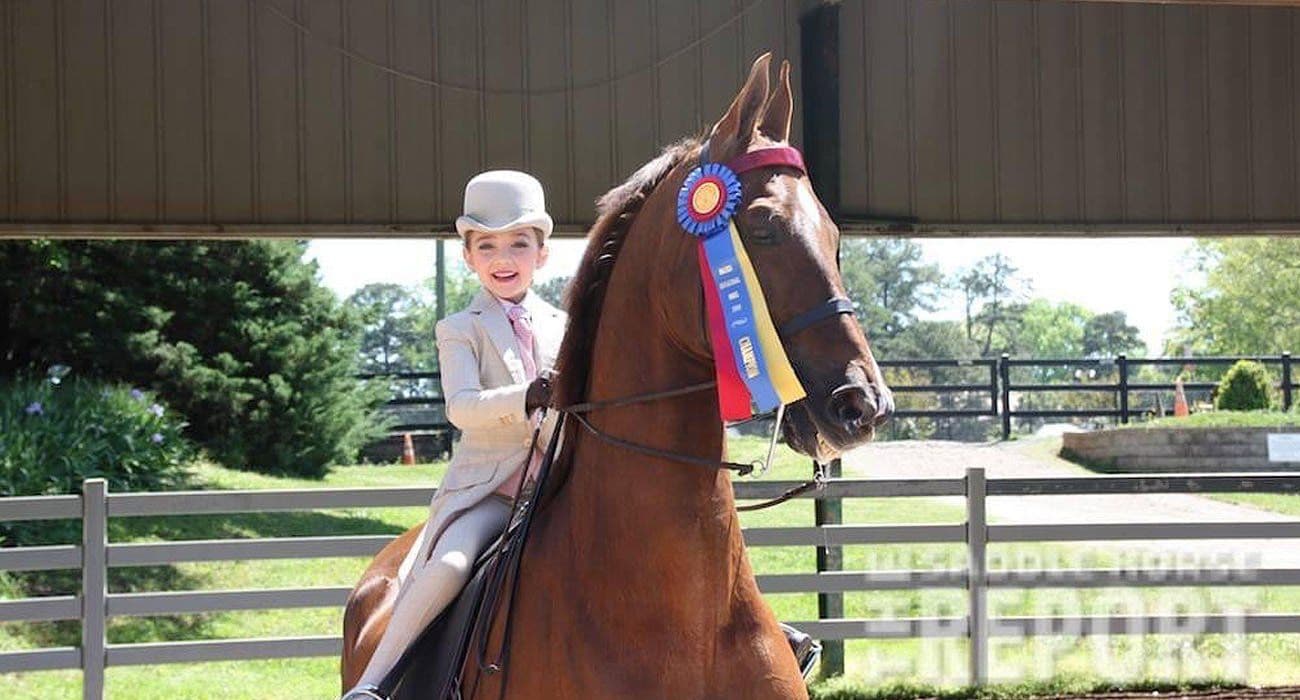 Young rider on brown horse with award ribbon