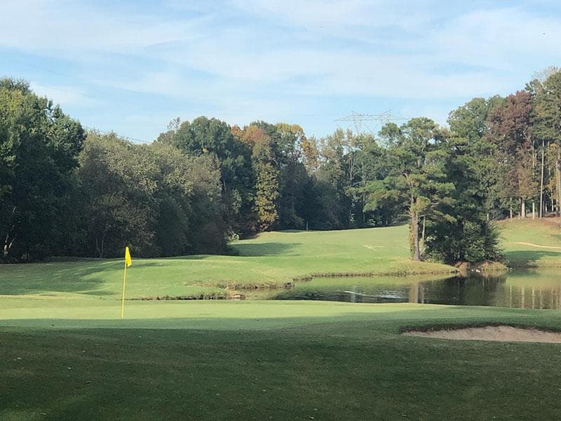 Golf course green with flag, sand bunker, and trees