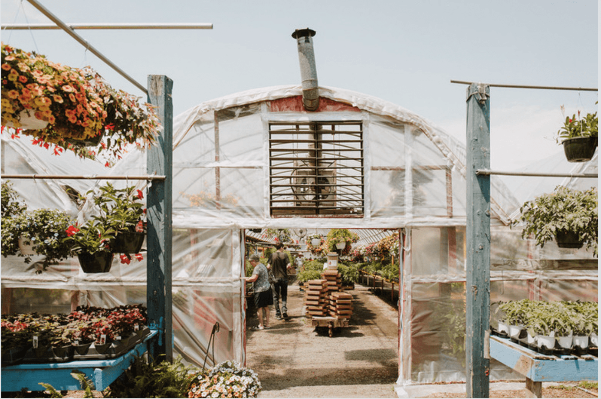 Greenhouse entrance with plants and flowers displayed