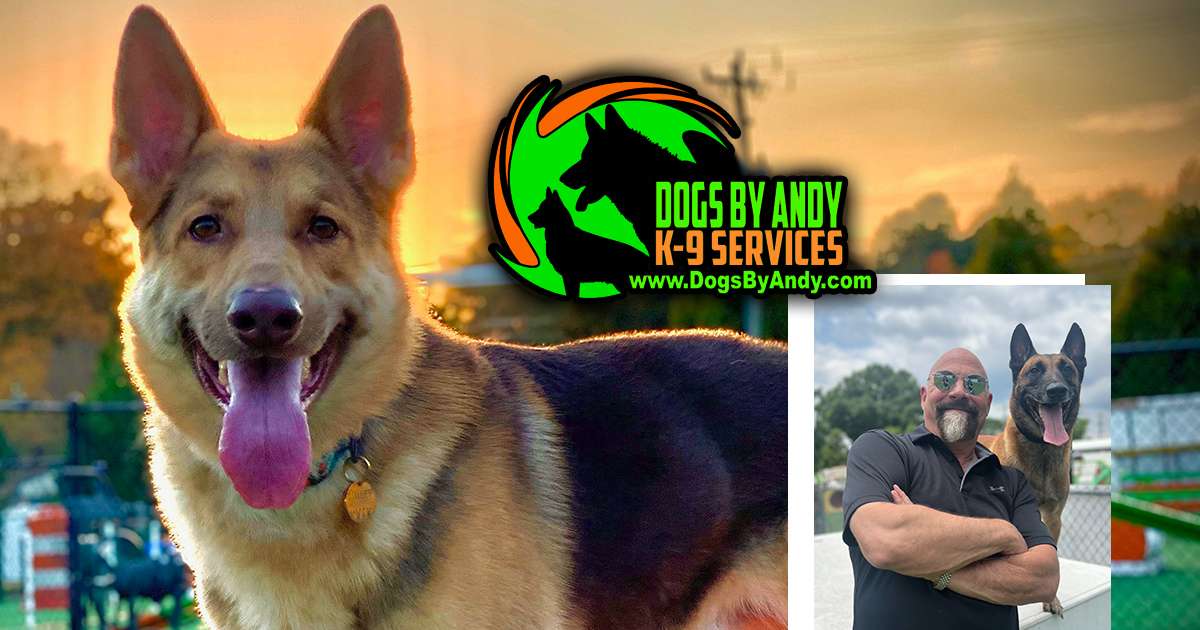 Owner with trained German Shepherd dog