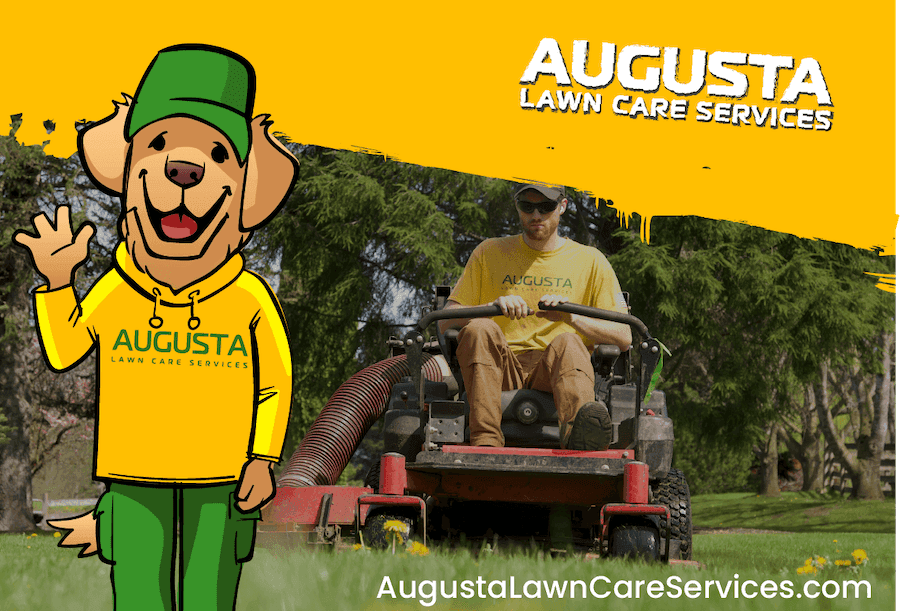Worker operating lawn mower on grass