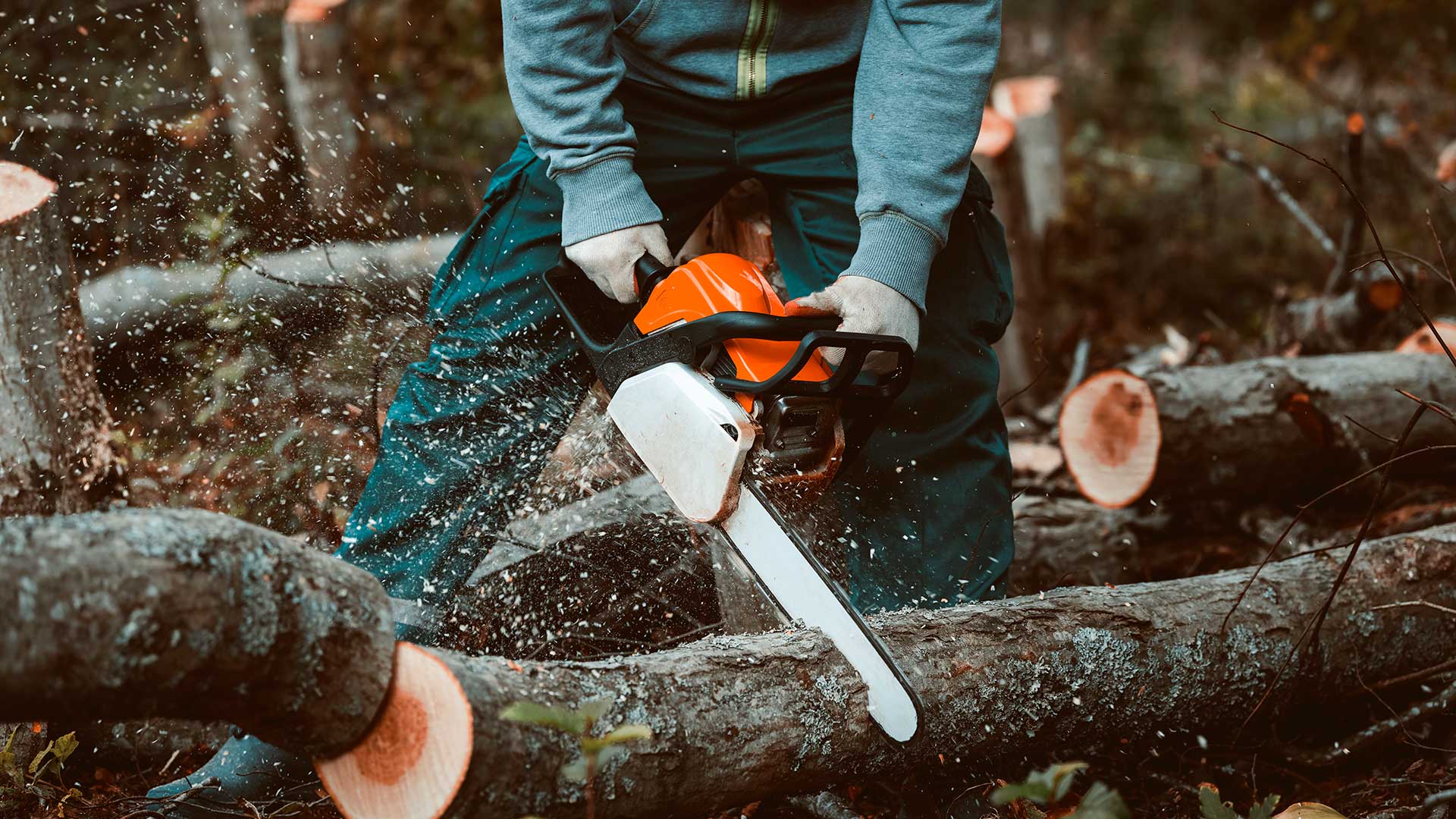 Chainsaw cutting through log with safety gear