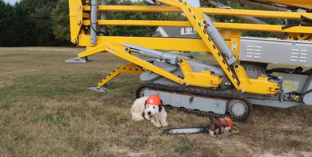 Wood chipping equipment and operator working