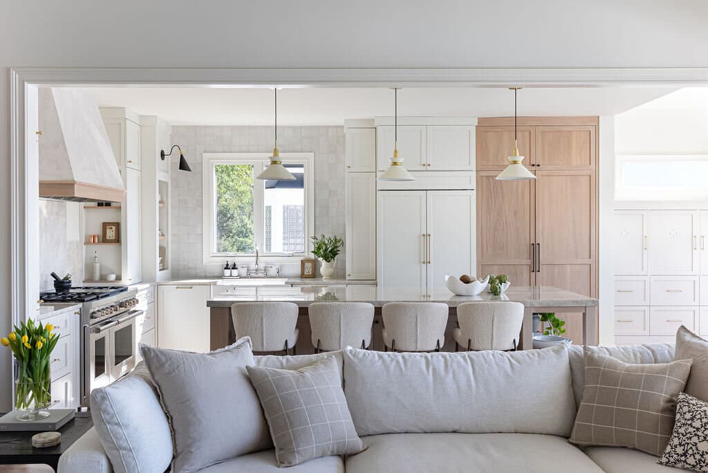 Modern kitchen and living room interior design