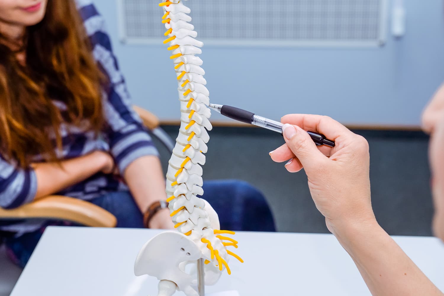 Chiropractor explaining spine model to patient