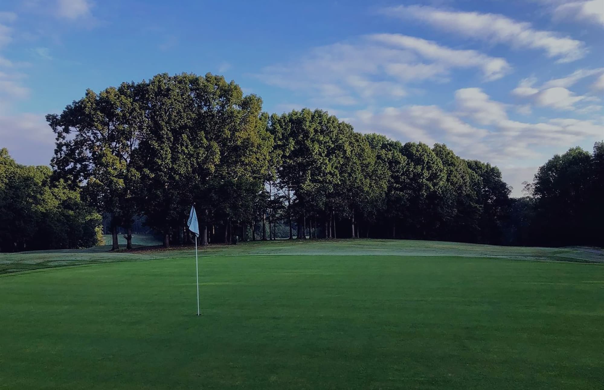 Golf course green with flag and trees